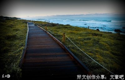 意志力红利经典读后感有感