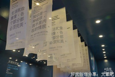 有关野还种小姐名人名言