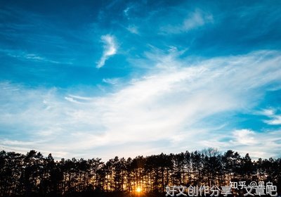 描写自我牺牲的语句摘抄