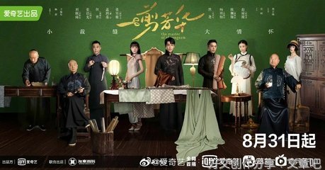 《一剪芳华》经典观后感有感