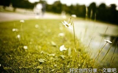 最新的汪瑞龙名言大全