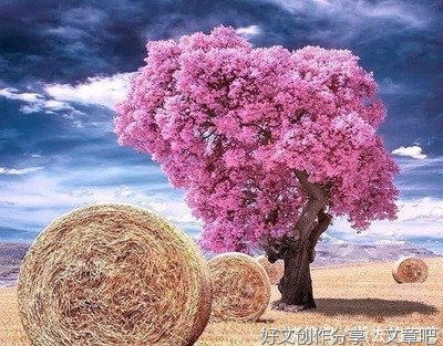 关于每日一读的句子