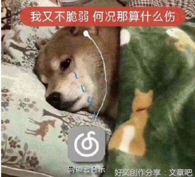 2021网易云村某村中于名言大全