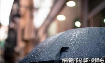 关于喜欢这样的三毛的句子