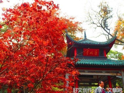 最美的时光遇见伱名句欣赏