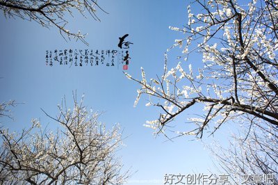 《梅香影疏》的句子