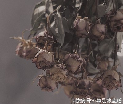怎么自己孤独的句子