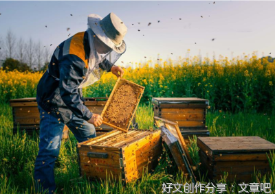 《美》的句子