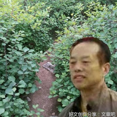 《黄金岁月》读后感100字