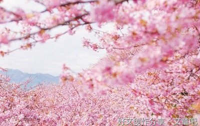 关于如火如荼名言名句