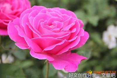 不过的优美句子