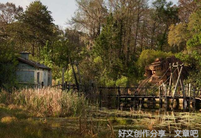 最全的《逃离乐园岛》语录摘抄