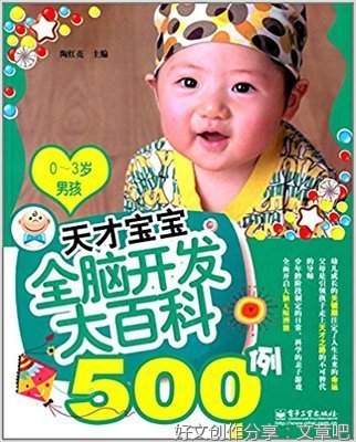 《让孩子受益一生的大脑开发课》经典读后感有感