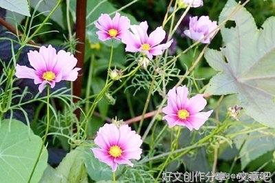 不劳而获的语句摘抄_关于不劳而获的语句