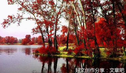 关于生命停止之地，梦境开始之源的句子