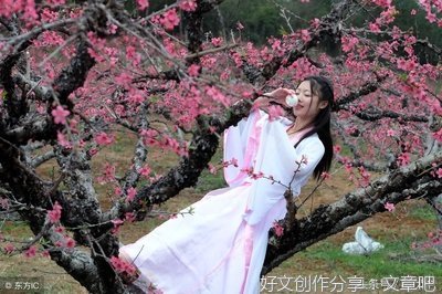 阅尽世间的句子
