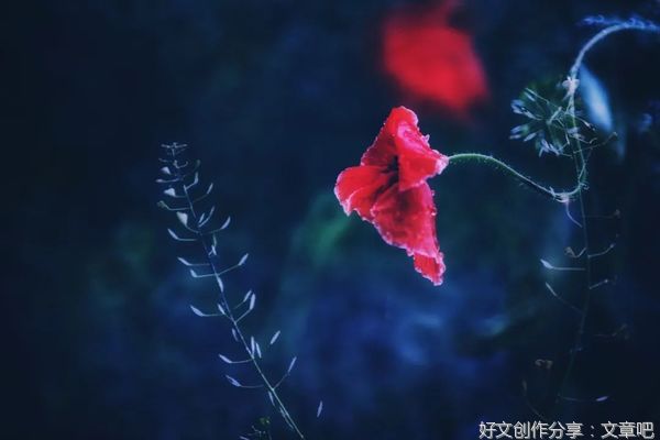 靠谱，是对一个人最好的评价