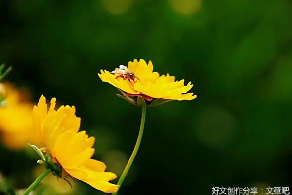 改变自己，无需改变别人！