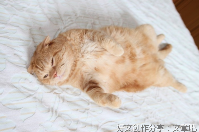 《傻傻的可爱的你》经典读后感有感