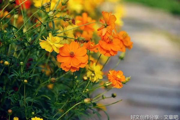 小善，也会自带光芒