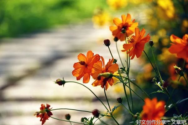 小善，也会自带光芒