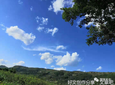 投机取巧的名言_关于投机取巧的名言
