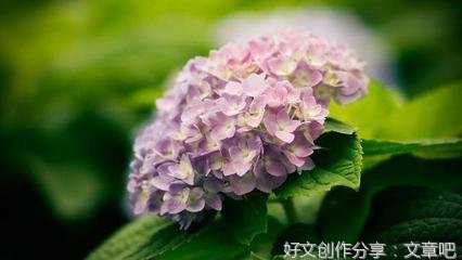最新的《重生之代价》经典句子