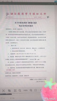 大国之城读后感锦集