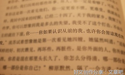关于倾城之恋的优美句子