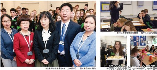 《狗果定理》观后感精选