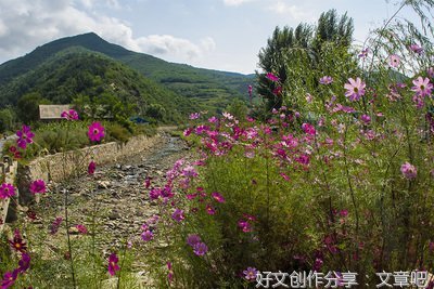 《鲜花盛开的村庄》观后感摘抄