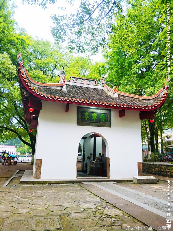 《滚蛋吧自卑》的读后感大全