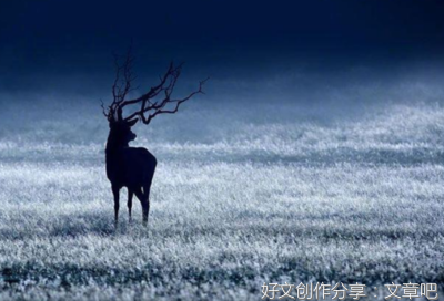 有关人生的句子