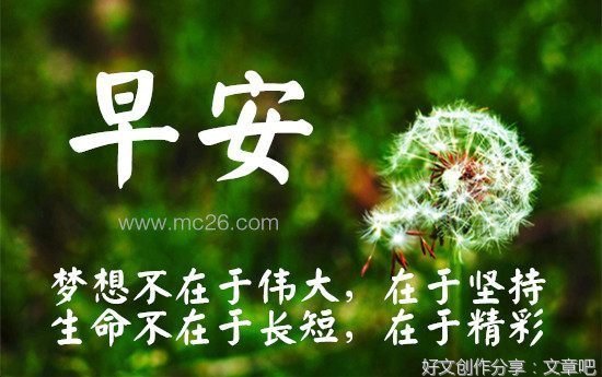 最全的《闪亮的日子》经典语句