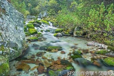 关于不在的句子