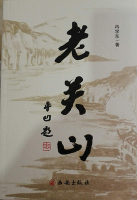 《关中刀客之仁厨子》经典观后感1000字