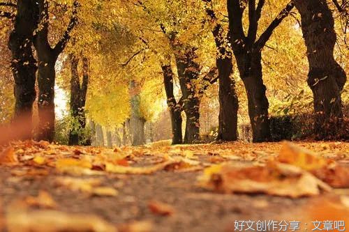 忽有往事上心头，蓦然回首已深秋