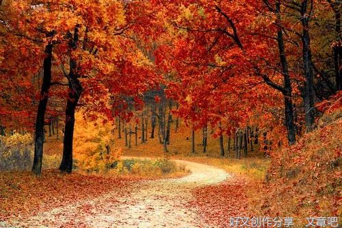 忽有往事上心头，蓦然回首已深秋