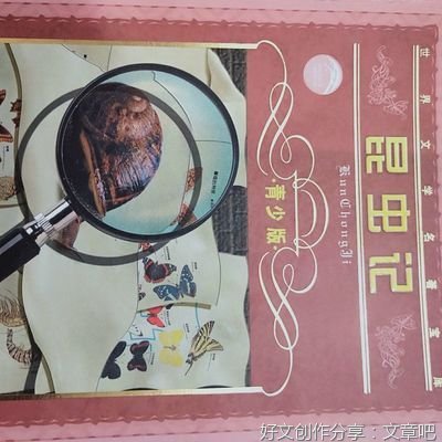 吃食和文学的读后感大全