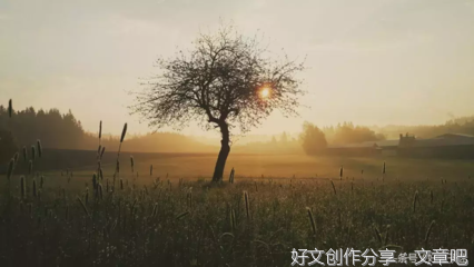 有关旧梦已远的句子
