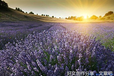 最全的《阿拉伯谚语》经典的句子