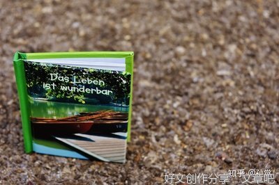 范仲淹传读后感精选