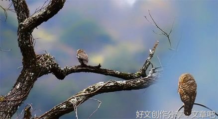 《伪装大天渣》的句子
