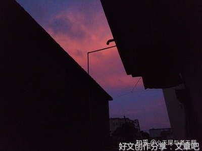 毒药手帖读后感锦集