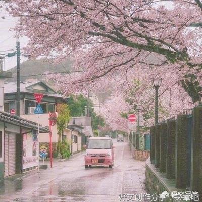 我曾经的爱情的句子