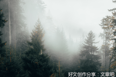 少年轻狂经典的句子