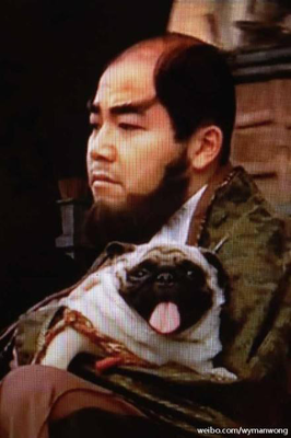 黄伟文的优美句子