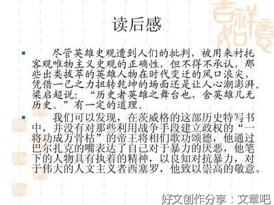 群星灿烂的年代的读后感大全