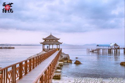 《带我去你的岛》读后感锦集