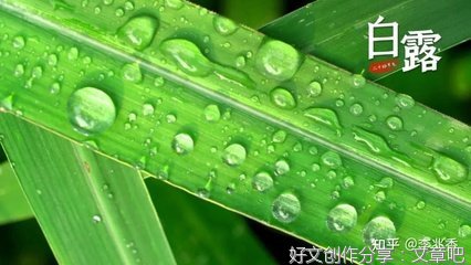 《清秋》的句子